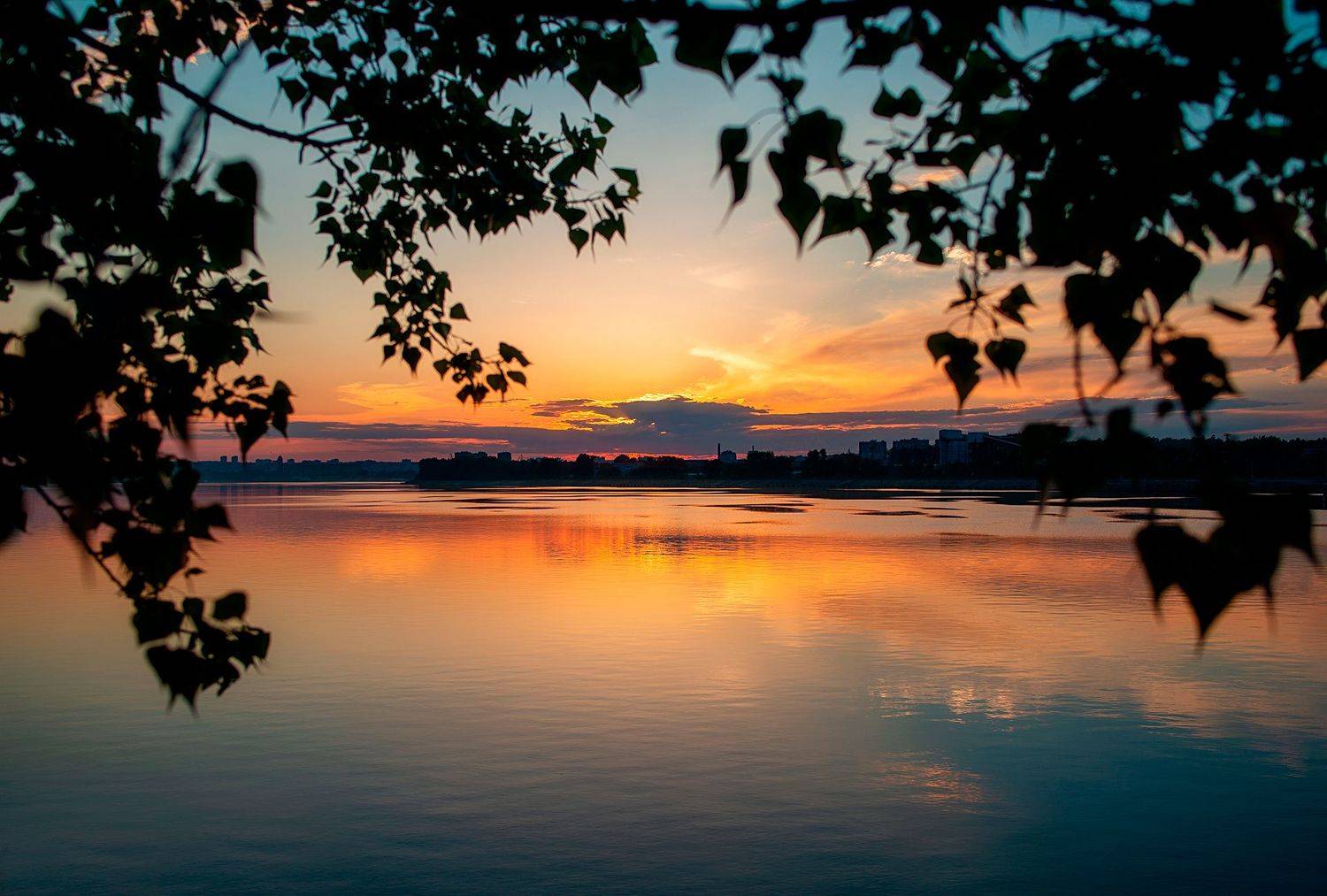 , Дзюба Нелли