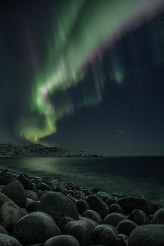 Пестрая лентаphoto preview