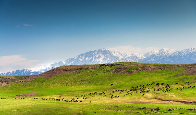 узбекистан, uzbekistan photo preview
