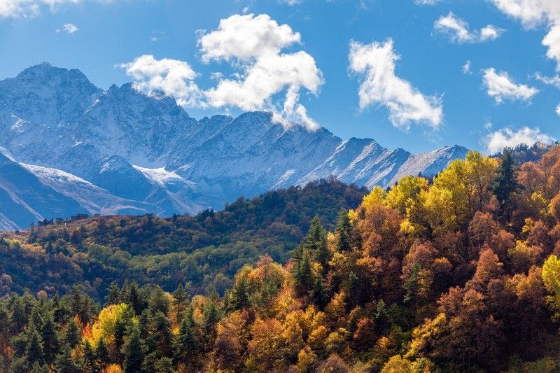 Келиphoto preview