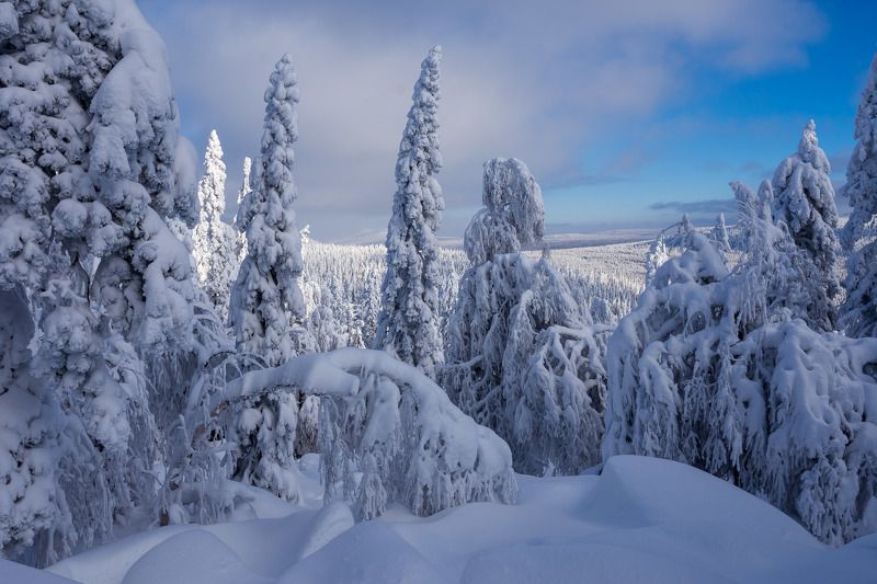 *******photo preview