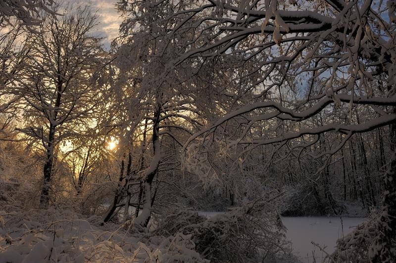 К свету...photo preview