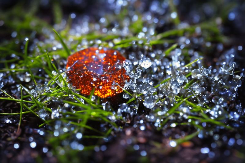 янтарь, камень, макро, предметная съемка, размытие, цветокоррекция, еловые иголки, драгоценный камень Янтарный плот плывет во льдахphoto preview