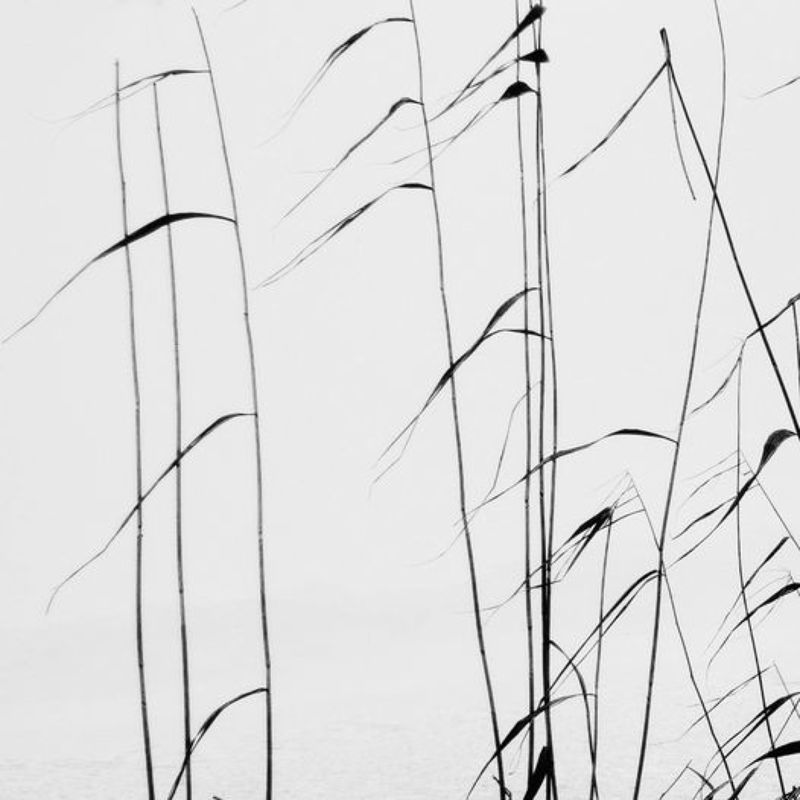 Флаги на ветруphoto preview