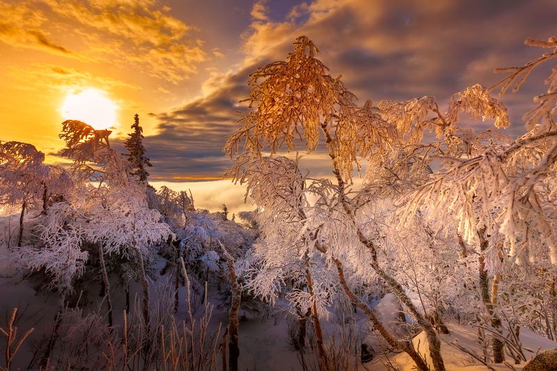 Природа Южного Уралаphoto preview