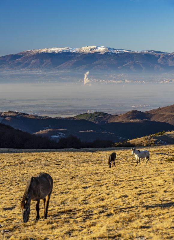 landscape nature vertical hiking horses The colors of Autumnphoto preview