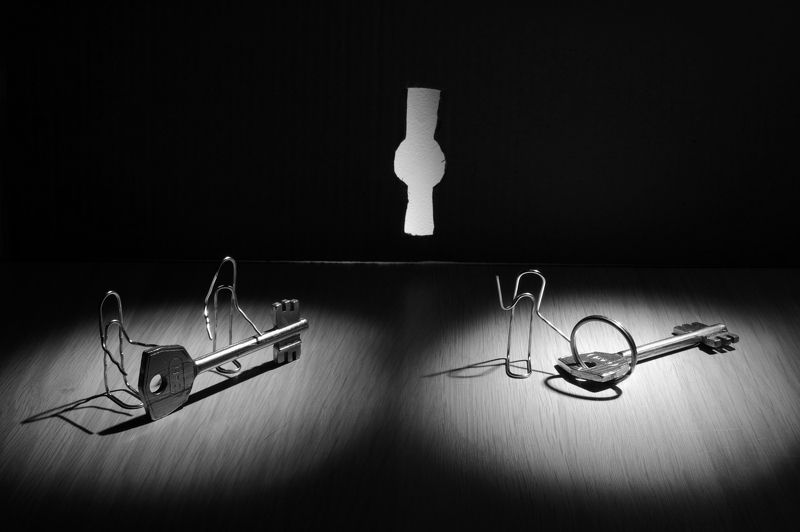 жизнь скреп Медвежатникиphoto preview