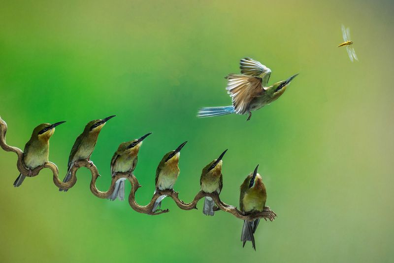 Lucky sevenphoto preview