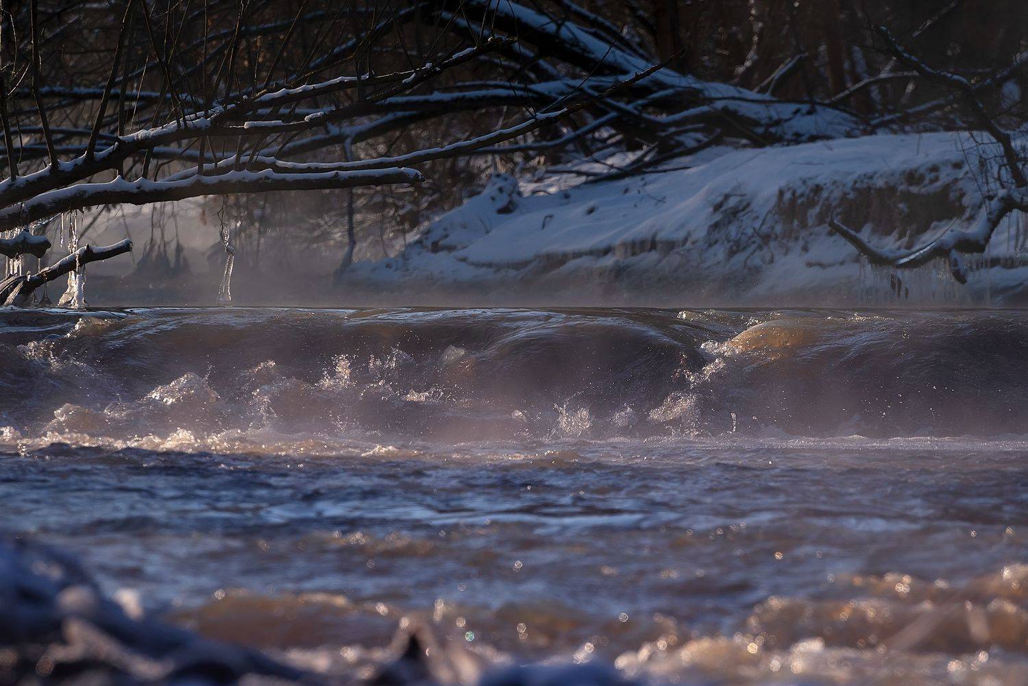 Автор: Стрельцов Виталий , Стрельцов Виталий