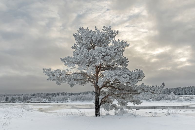 Зимаphoto preview