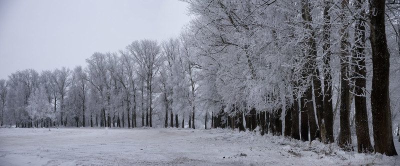 Зимние зарисовкиphoto preview