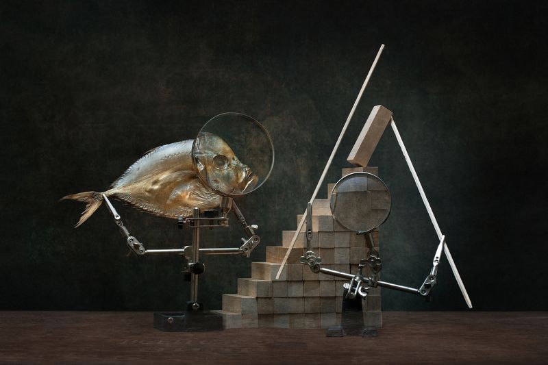 Вомер и строительство пирамидыphoto preview