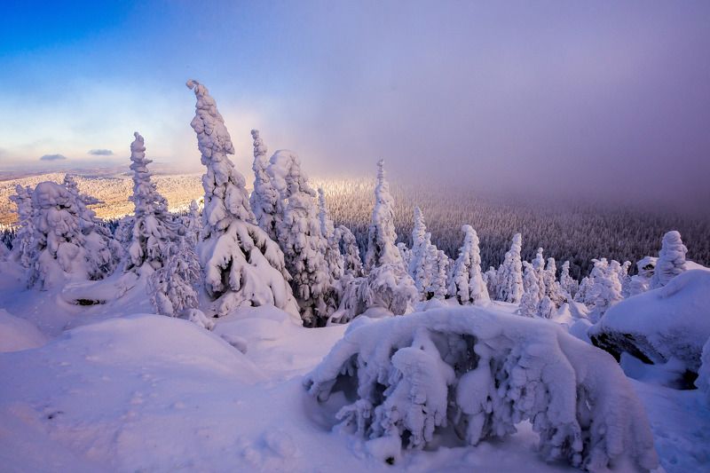 *******photo preview