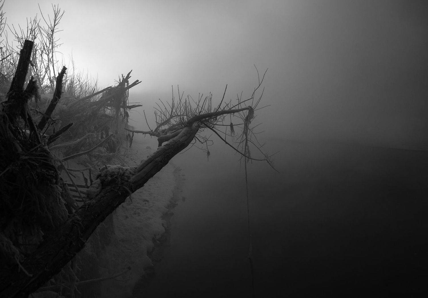 , Комеров Роман