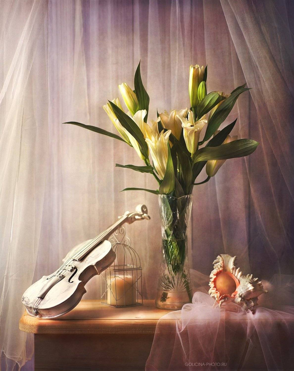 Лилия, Натюрморт, Скрипка, Svetlana Golicyna