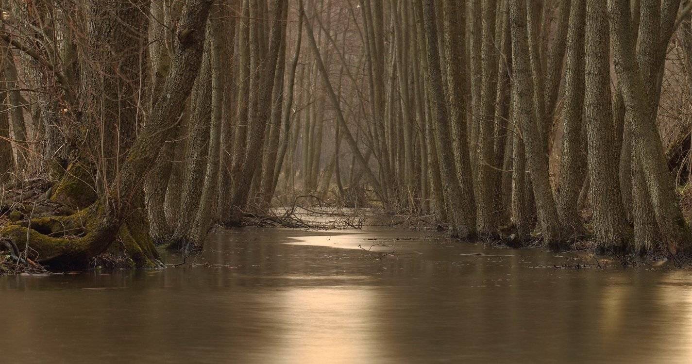 Река Мерчик. Автор: Sergii Markov дождь, закат, река мерчик, Sergii Markov