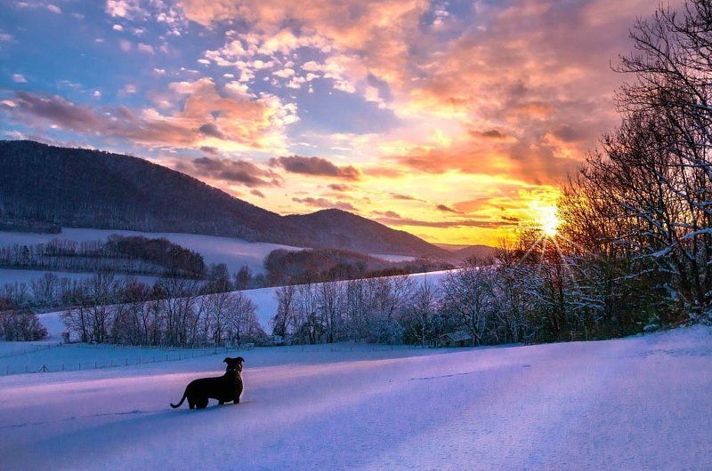 прощание с солнцемphoto preview