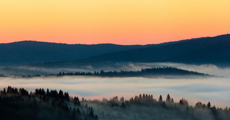 Украина, Утро, туман, рассвет Теплое одеяло Карпатphoto preview