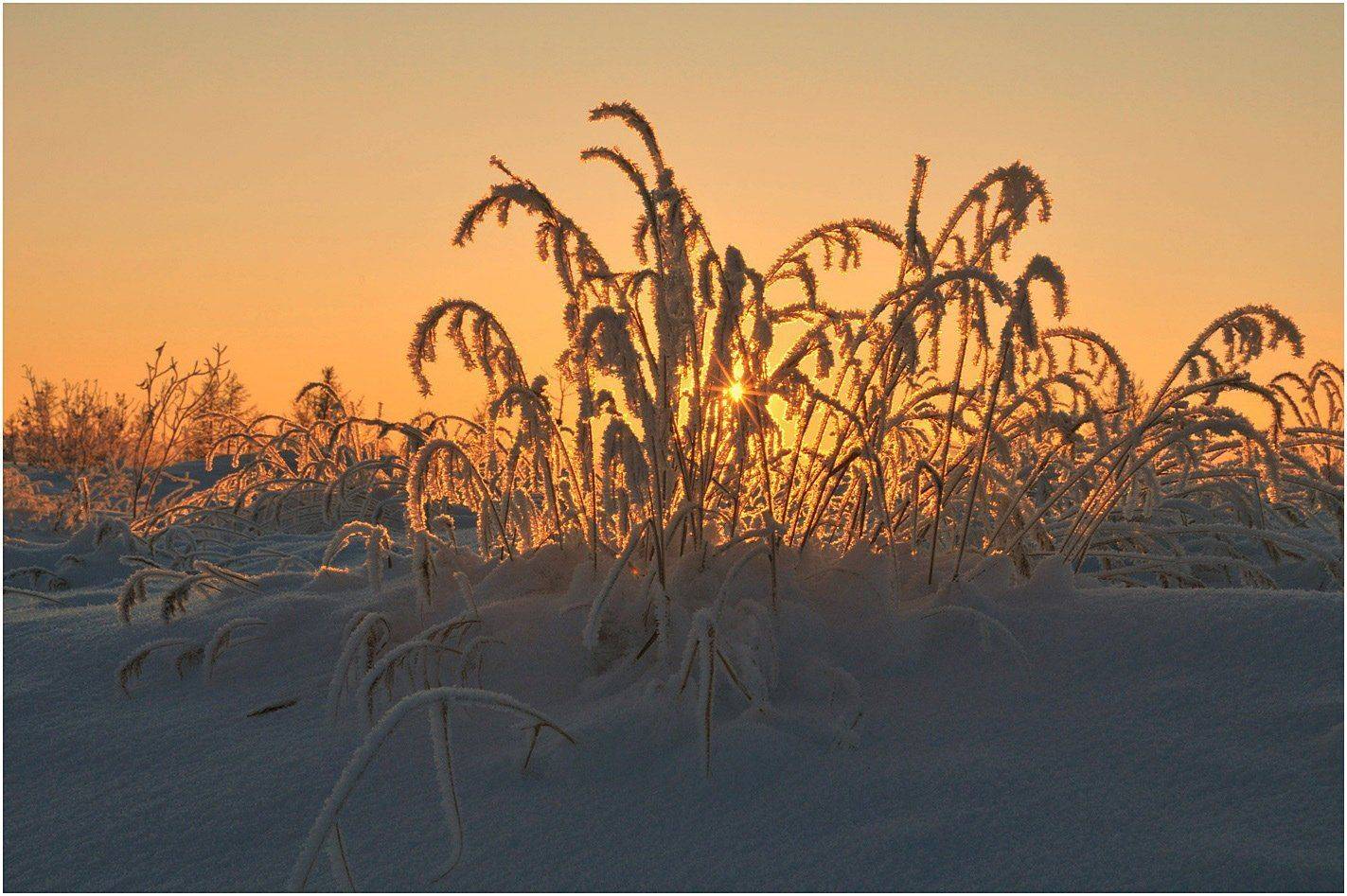 Таймыр,солнце,снег, Владимир