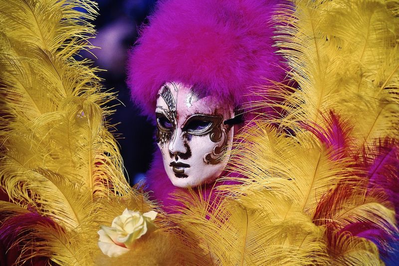 maschera,piume,ritratto,giallo,viola Mascheraphoto preview