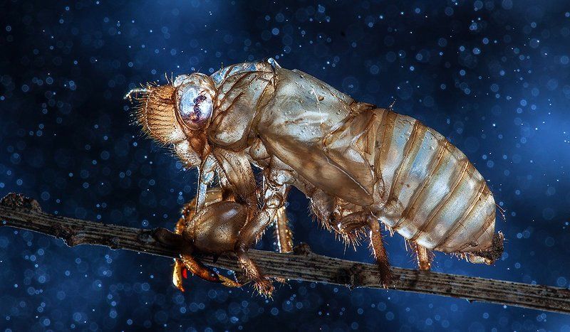 «Через Червоточину (Сквозь кроличью нору)».photo preview