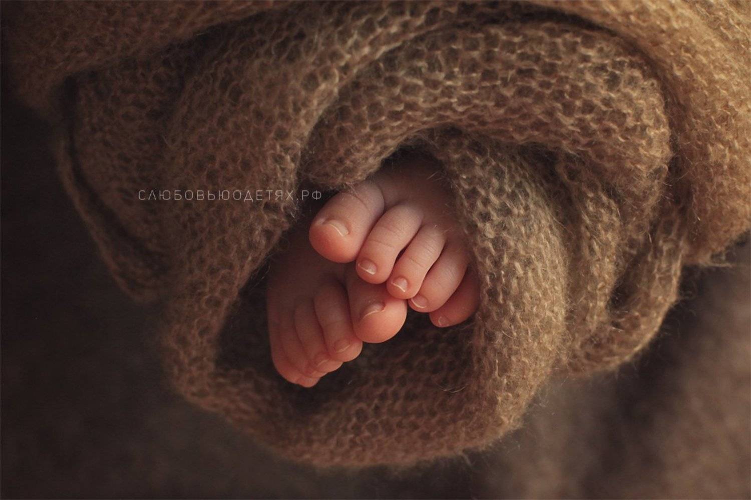 newborn, macro , 50mm, child, kids, children, baby, Светлова Анастасия