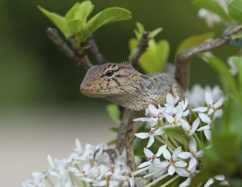 Из жизни отдыхающихphoto preview