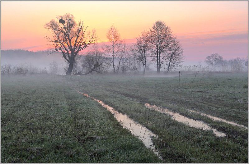 Утро Туман Рассвет Утренняя акварельphoto preview