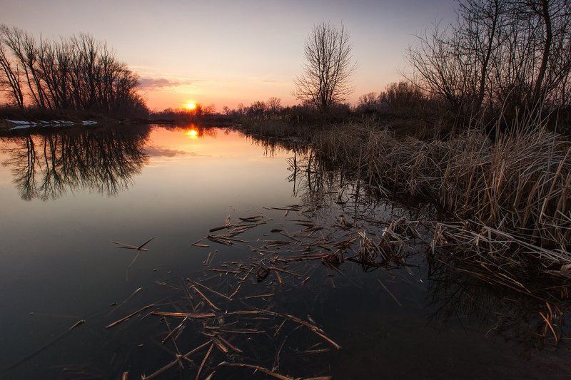 Старицы реки Самараphoto preview