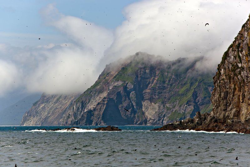 Тихий Тихий океанphoto preview