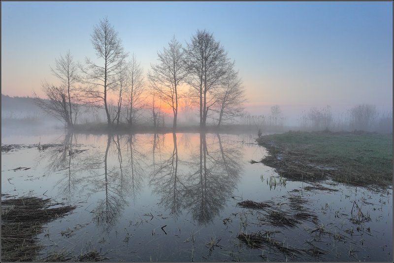 Отражениеphoto preview