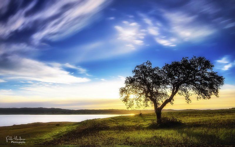 Stand alonephoto preview