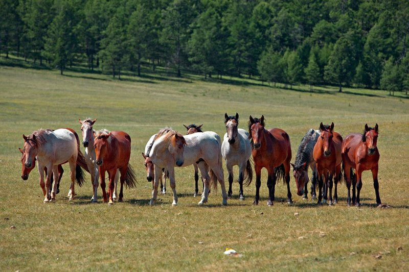 Что, опять фотографы пришли?photo preview