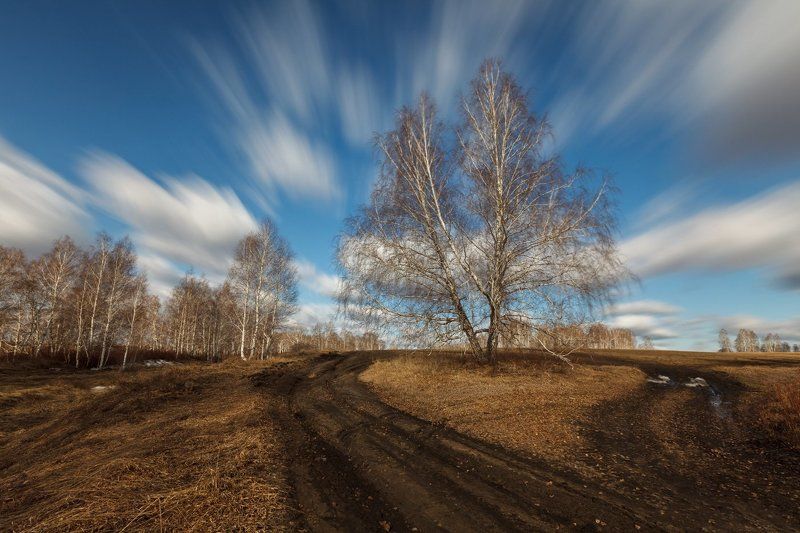 Апрельский ветерphoto preview