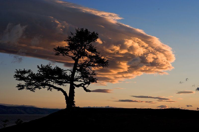 Вторжениеphoto preview