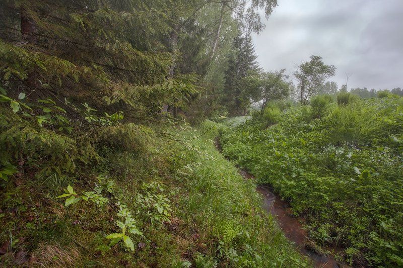 Михайловское, Псковская область. Майский ручейphoto preview