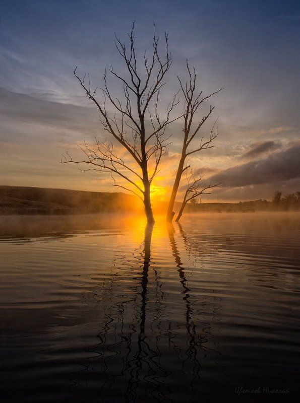 Туманный рассветphoto preview