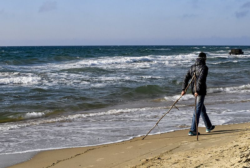 Жанр Палочник.photo preview