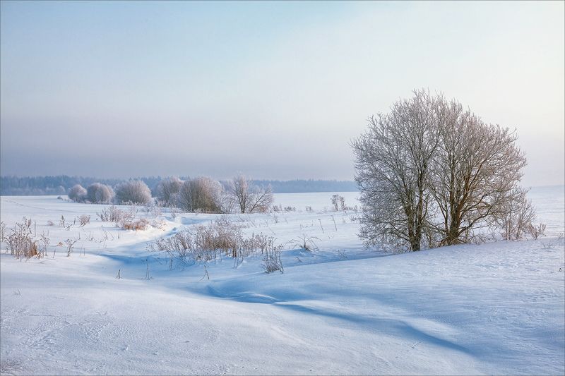 пейзаж, зима, утро, свет, цвет, александр никитинский Зимнее утро...photo preview