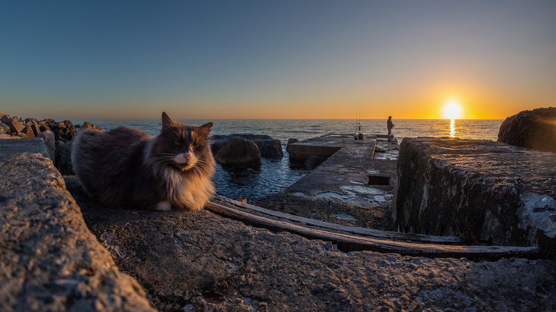 Всё под контролемphoto preview