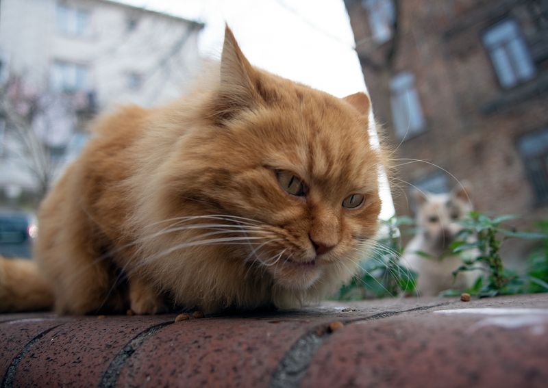 Breakfastphoto preview