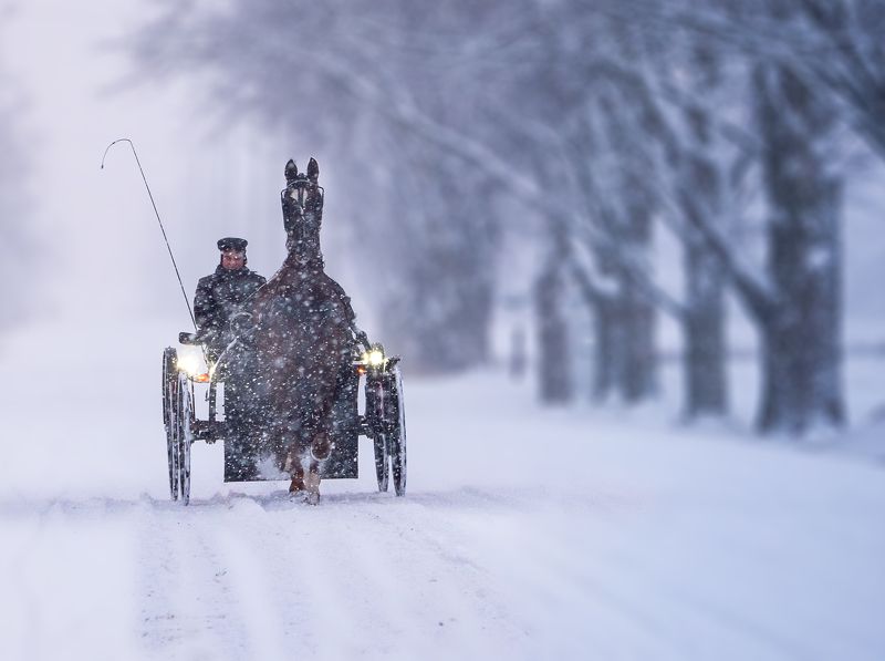 #horses #snow #street #streetphotography #canada #ontario A Coachman in the Snowphoto preview