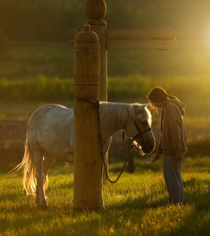 Встреча на зареphoto preview