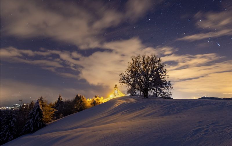 stars Under starsphoto preview