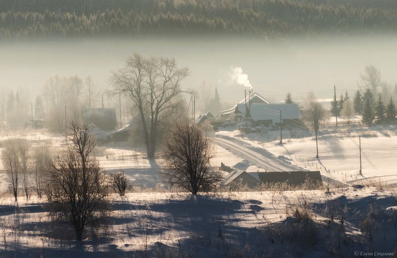 село, деревня, бым, пейзаж, туман, зима, утро, лес Село Бымphoto preview