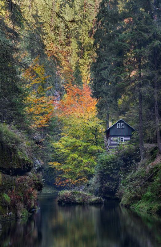 чехия, ущелье, река, домик, парк, осень, листья, национальный парк, чешская швейцария, богемская швейцария, саксонская швейцария, природный парк, czechia, czech republic, bohemian switzerland, national park, park, fall, autumn, gorge, edmundsklamm, hut Ущелье Эдмунда / Edmund Gorgephoto preview