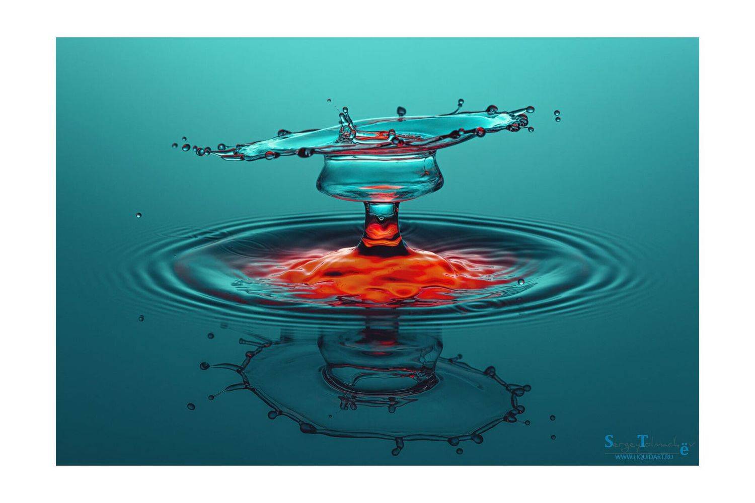 вода, капли, жидкость, макро, всплеск, сергей толмачев, liquidart, water, splash, waterdrop,, Сергей Толмачев