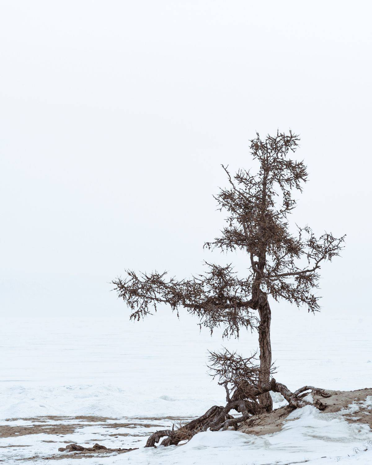 Байкал. Минимализм острова Ольхон… Baikal. The minimalism of Olkhon island.... Автор: Vazhenin Evgeniy , Vazhenin Evgeniy