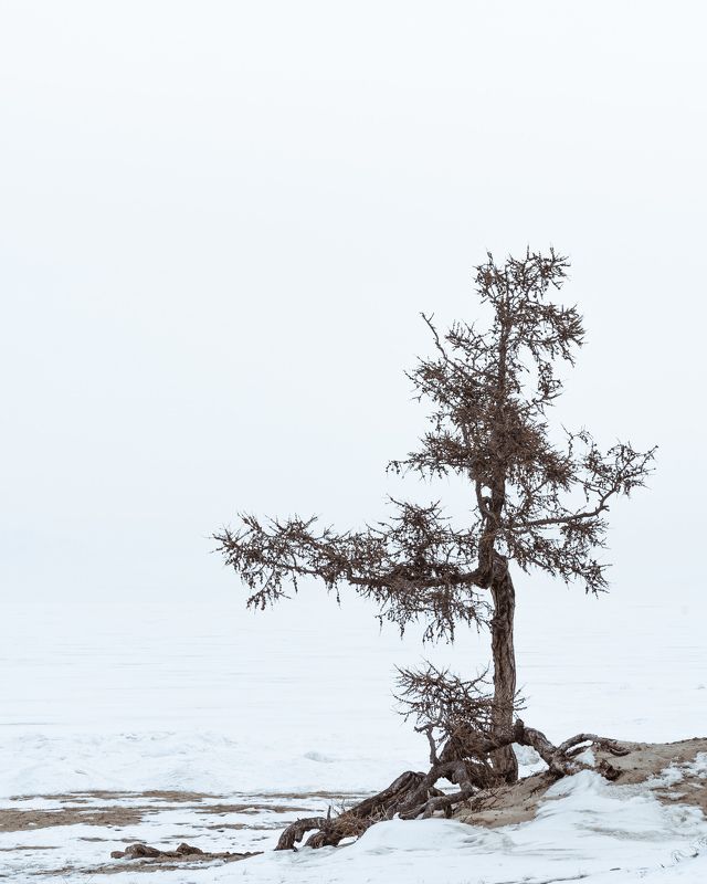 Байкал. Минимализм острова Ольхон…  Baikal. The minimalism of Olkhon island...photo preview