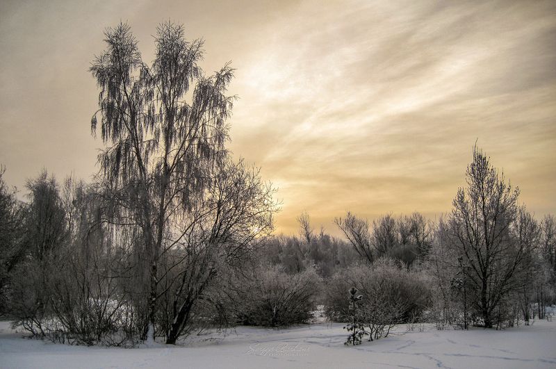 #winter #snow #frost #tree #sunset Winterphoto preview